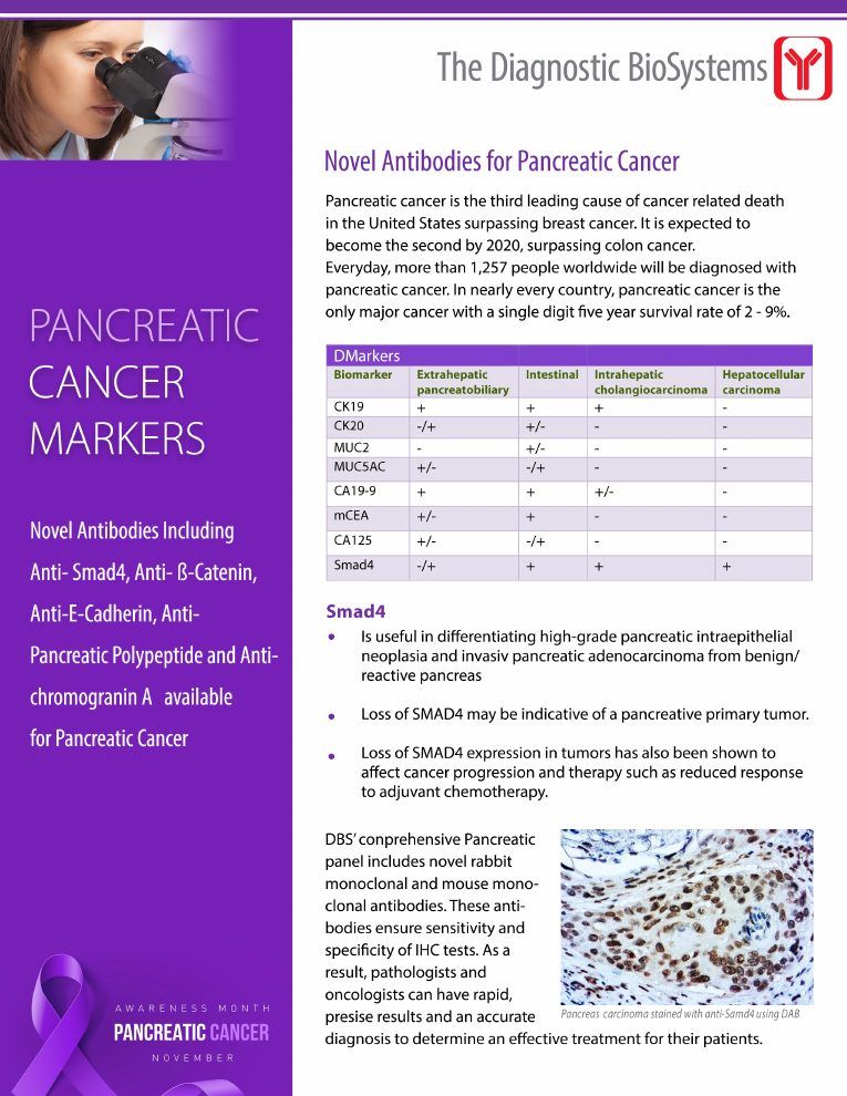 First page of Pancreatic Cancer Markers